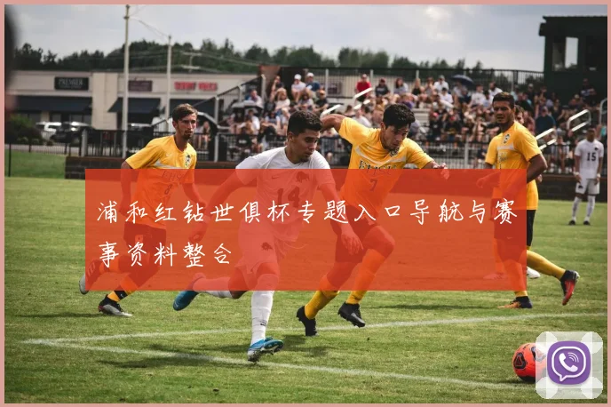 浦和红钻世俱杯专题入口导航与赛事资料整合