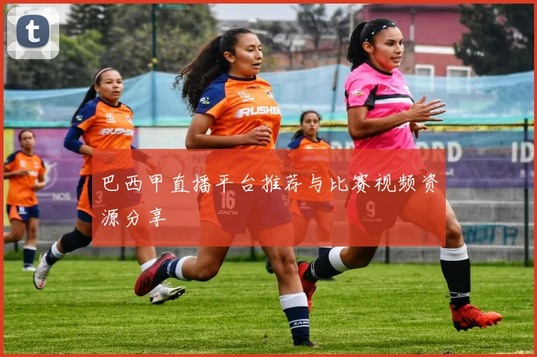巴西甲直播平台推荐与比赛视频资源分享