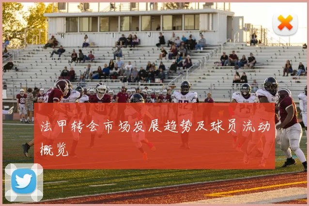 法甲转会市场发展趋势及球员流动概览