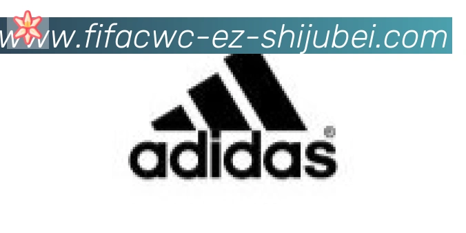 世界杯直播合作伙伴