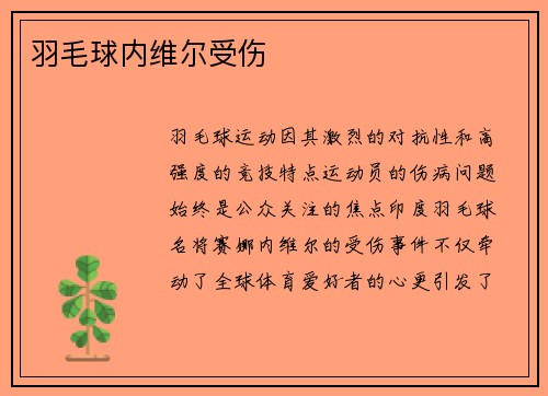 羽毛球内维尔受伤