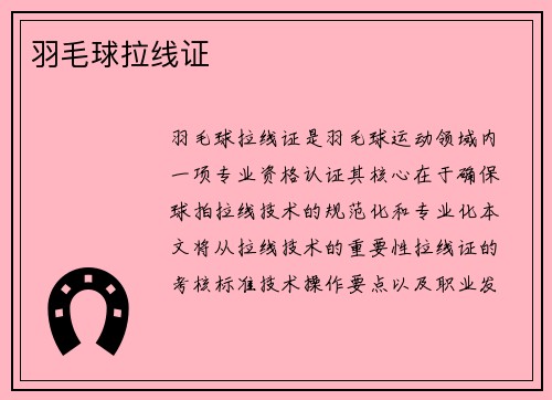 羽毛球拉线证
