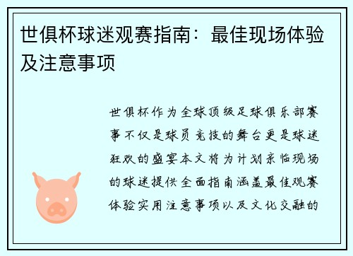 世俱杯球迷观赛指南：最佳现场体验及注意事项